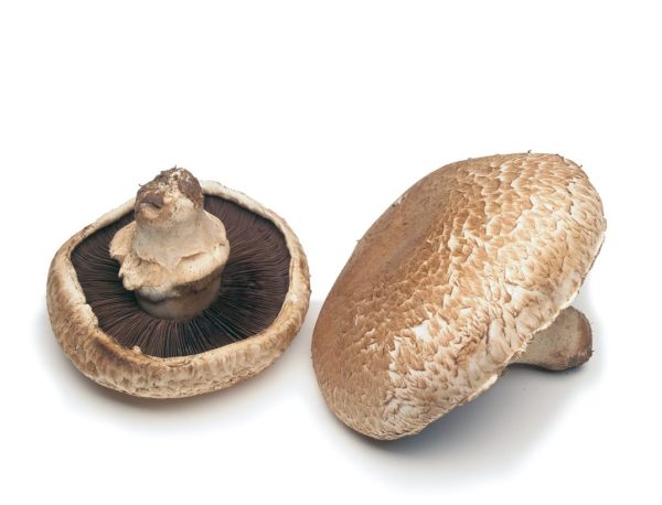 Mushrooms Portabella Caps 170 G