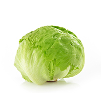 Lettuce Iceberg Ct
