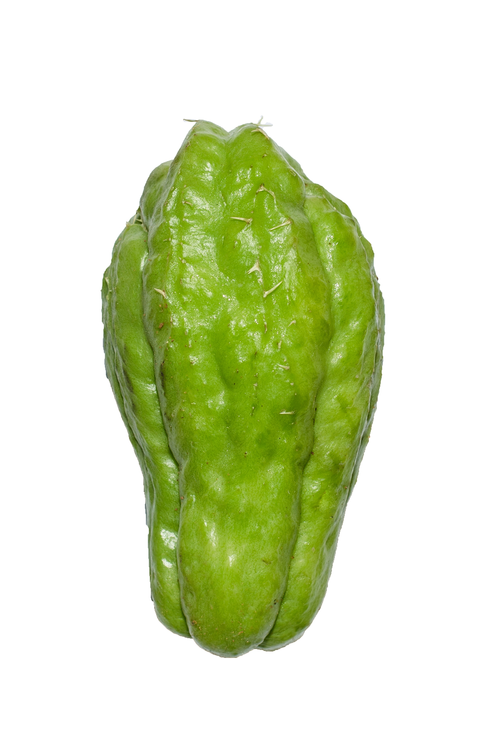 Christophene