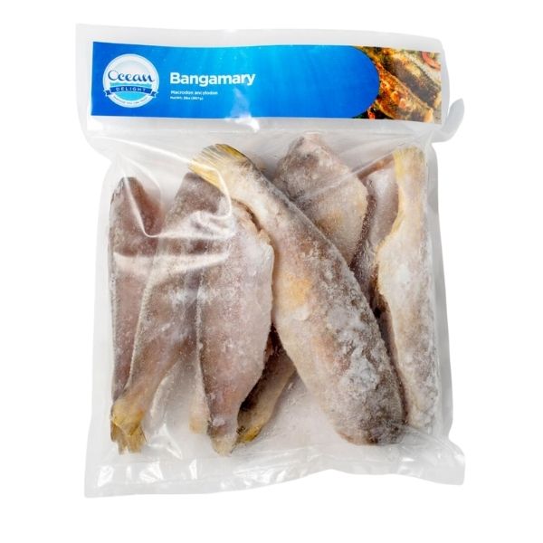 Ocean Delight Bangamary Fillet 454 G