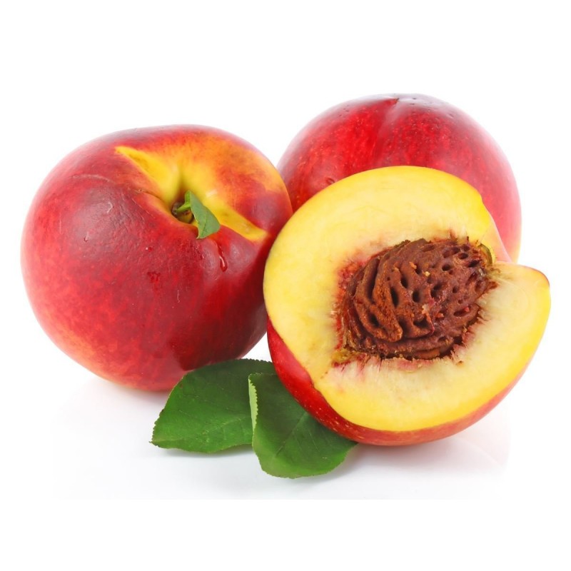 Nectarine V/F Med (Chl) Kg