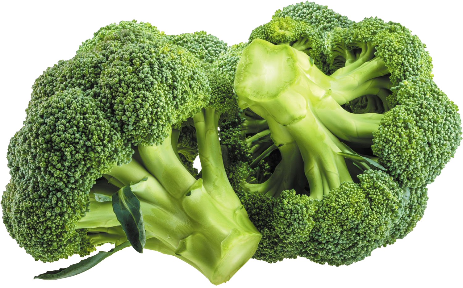 Broccoli Pack Ct