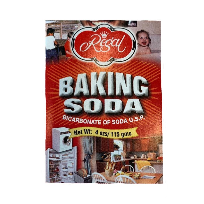 Regal Baking Soda 115 G