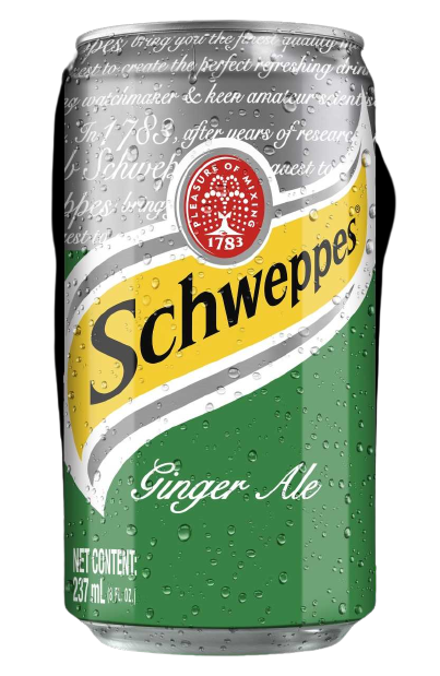 Schweppes Ginger Ale Cans 237 Ml
