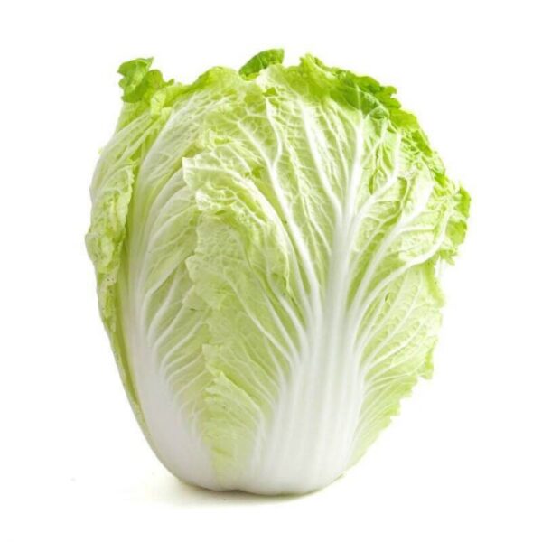 Pak Choi Bundle Ct